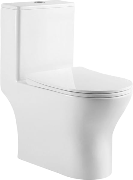 Унитаз-моноблок напольный BelBagno Lounge BB8618CPR-MN/SC