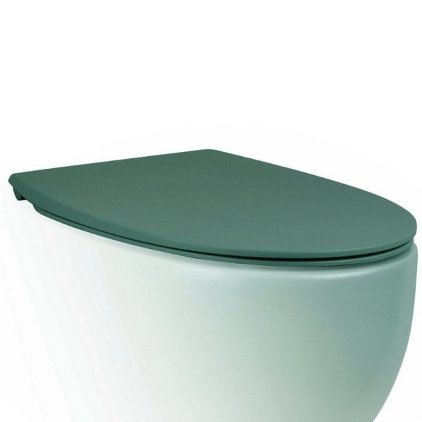 Крышка-сиденье AeT Dot 2.0 C555R143 c микролифтом, зеленый мох матовый