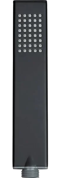 Душевая лейка Allen Brau Infinity 5.21022-31 черная