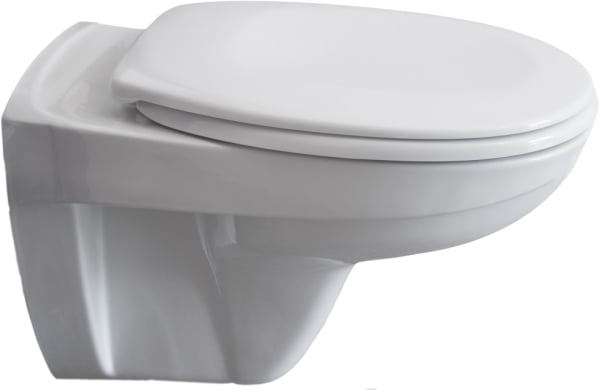 Унитаз подвесной Pestan Fluenta Basic 40006460