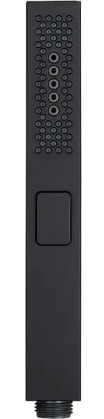 Душевая лейка Allen Brau Infinity 5.21A22-31 черная матовая