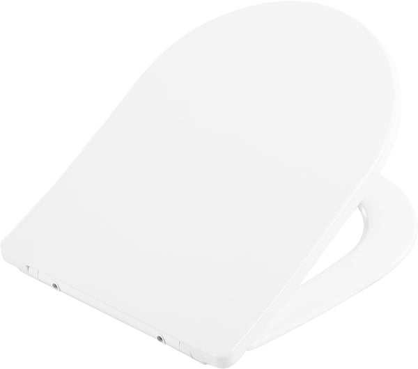 Крышка-сиденье BelBagno BB2031SC с микролифтом, петли хром