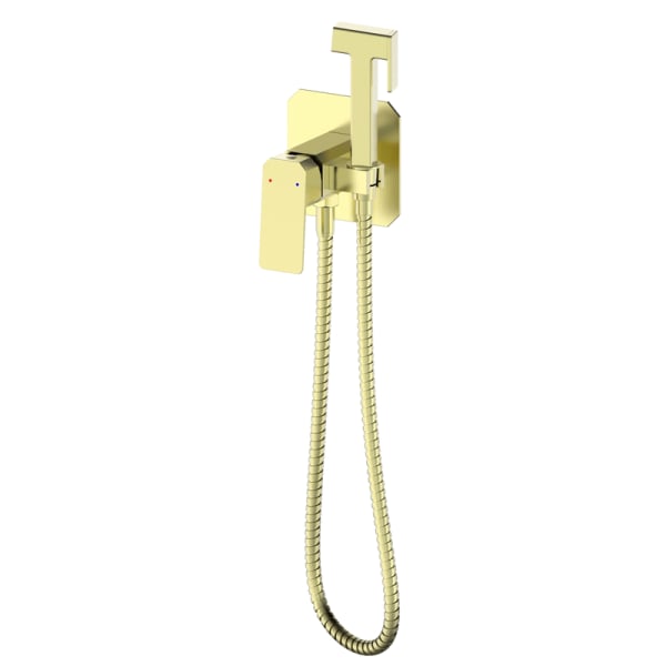 Гигиенический душ Wonzon & Woghand WW-88829011-BG со смесителем, С ВНУТРЕННЕЙ ЧАСТЬЮ, брашированное 