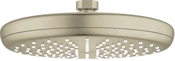 Верхний душ Grohe Tempesta 26410EN0