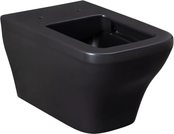 Чаша для унитаза подвесного Allen Brau Infinity 4.21011.31 безободковый, матовый черный