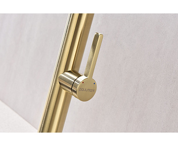 Смеситель для кухни Paulmark Leader Le214101-LG, с гибким изливом, светлое золото