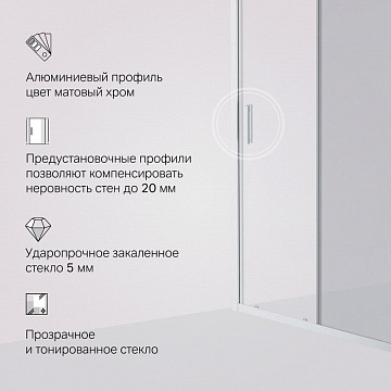 Душевая дверь в нишу AM.PM Gem Solo W90G-110-1-195MG 110 см