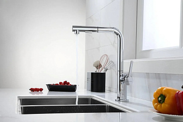 Смеситель для кухни Paulmark Neo Ne214419-CR, хром