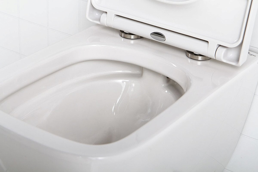 Крышка-сиденье BelBagno Alpina BB309SC с микролифтом