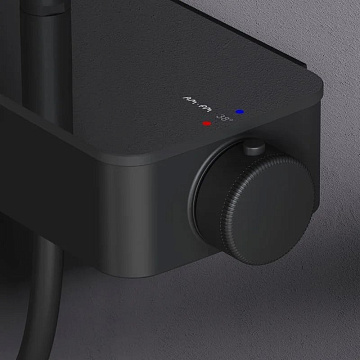 Душевая стойка AM.PM Inspire V2.0 F0750A422, с термостатом, черная