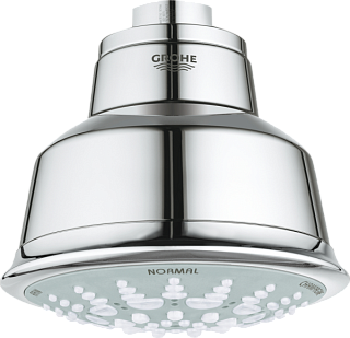 Верхний душ Grohe Relexa Rustic 100 Five 27126001 хром