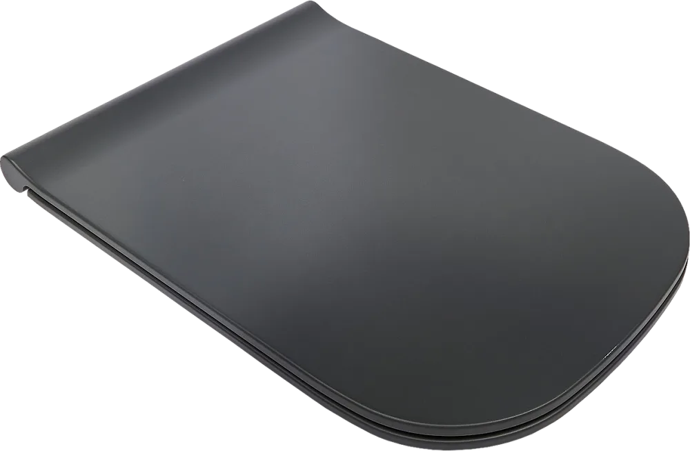 Унитаз подвесной Galassia Meg11 Pro 5486NEMT безободковый, с микролифтом, черный матовый Sancos — официальный сайт
