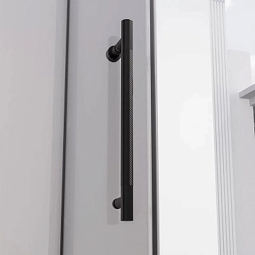 Душевая дверь в нишу Veconi Premium Alassio BB 140x200, профиль матовый черный, стекло тонированное