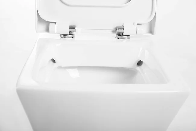Крышка-сиденье BelBagno Regina BB104SC с микролифтом Sancos — Оригинал