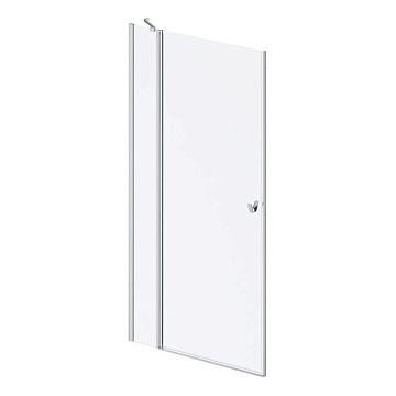 Душевая дверь в нишу AM.PM Sunny W87G-100-1P-MT 100 см