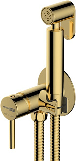 Гигиенический душ Wasserkraft Sauer A70738 со смесителем, С ВНУТРЕННЕЙ ЧАСТЬЮ, глянцевое золото PVD