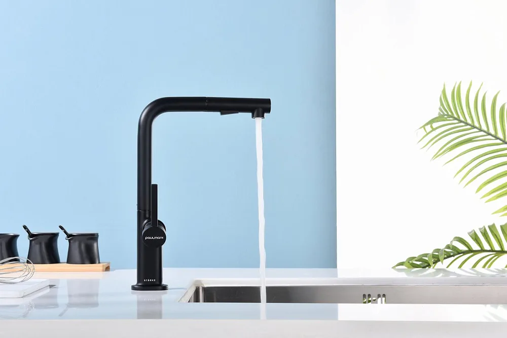 Смеситель для кухни Paulmark Neo Ne214419-AN, антрацит Sancos — официальный сайт