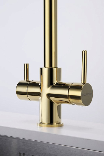 Смеситель для кухни Paulmark Lange 214212-G, золото