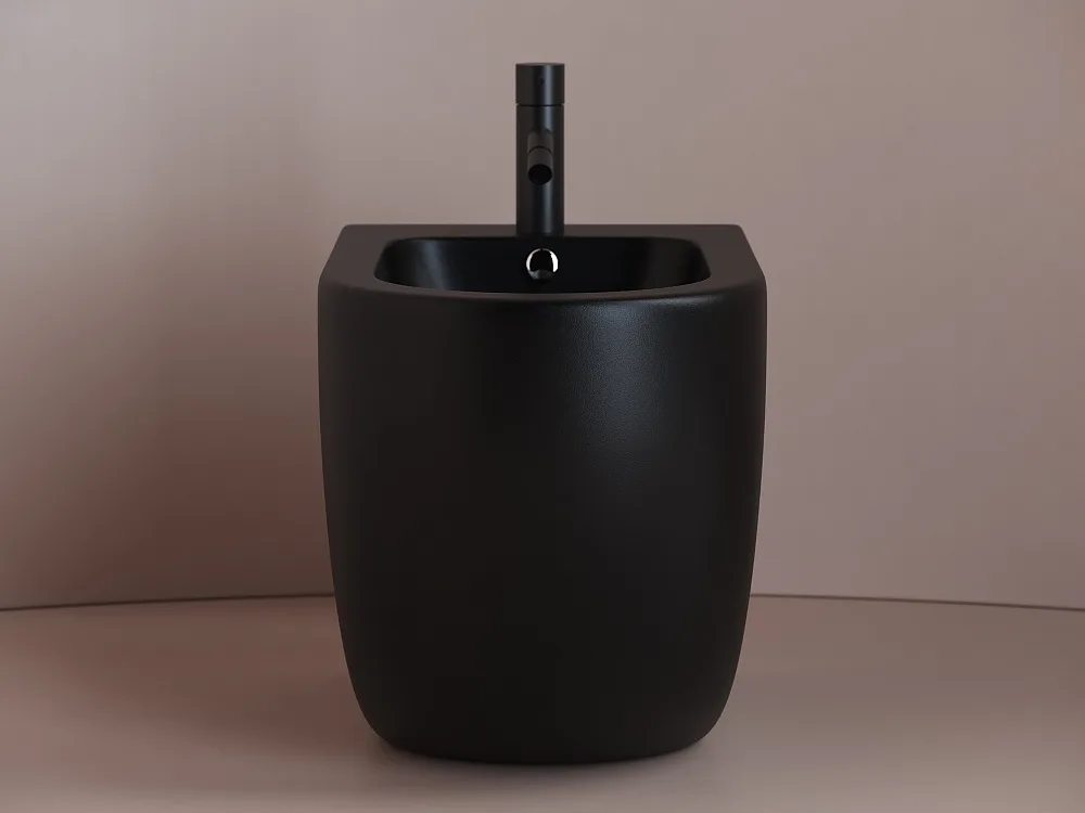 Биде напольное Ceramicanova Metropol CN4005MB Sancos — официальный сайт