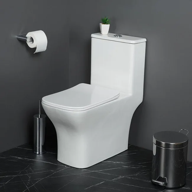 Унитаз-моноблок напольный BelBagno Neon BB8617CPR-MN/SC Sancos — Оригинал