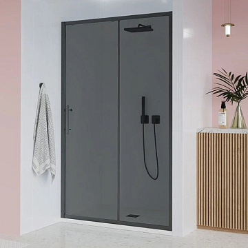 Душевая дверь в нишу Veconi Evo 100 B 170 см, профиль матовый черный, стекло матовое тонированное
