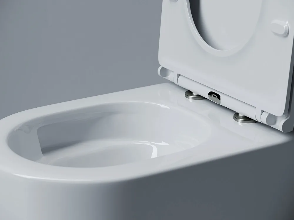 Унитаз подвесной Ceramicanova Voga CN4012T белый  Sancos — официальный сайт