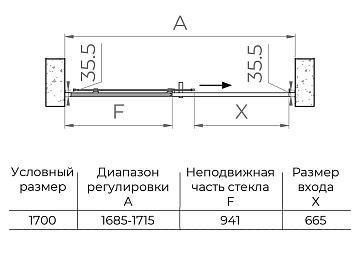 Душевая дверь в нишу RGW Passage PA-017 170х195, профиль хром