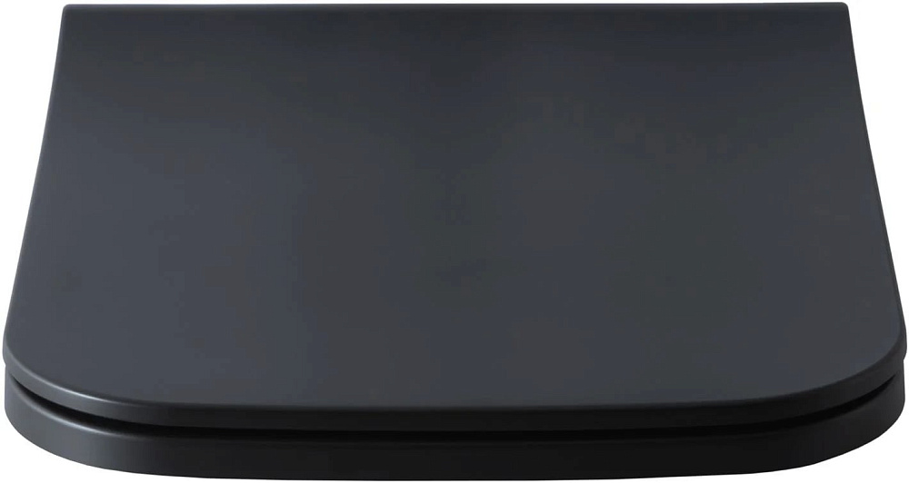 Крышка-сиденье Allen Brau Infinity 4.21014.31 с микролифтом