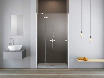 Душевая дверь в нишу Radaway Essenza New DWJ 100 L