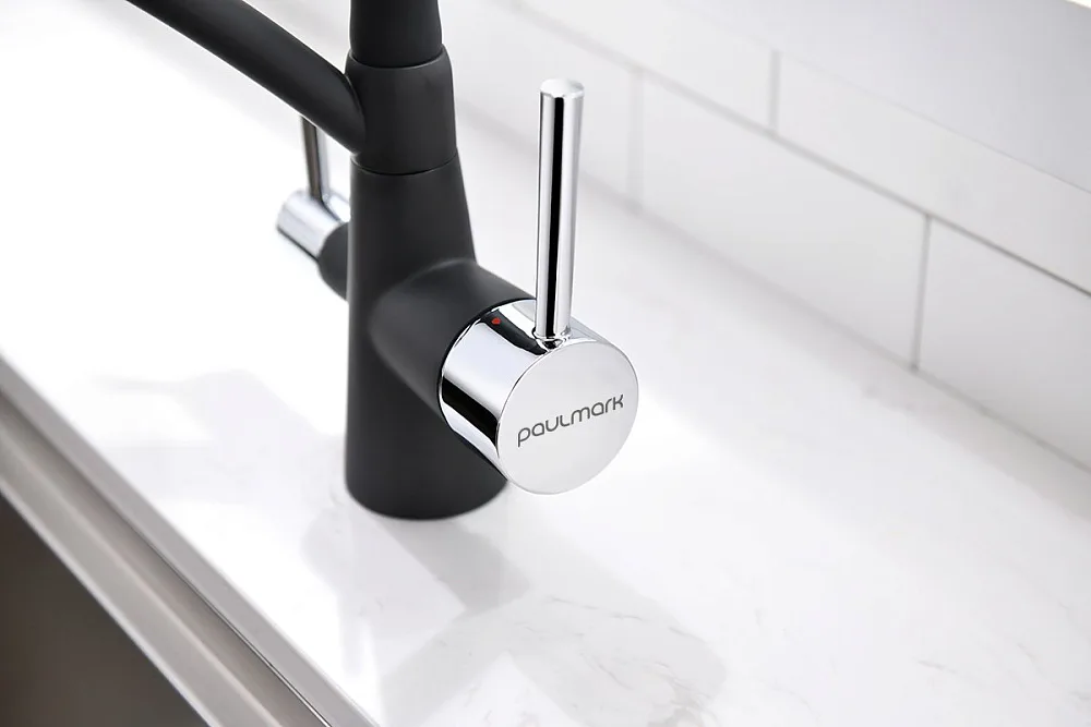 Смеситель для кухни Paulmark Siegen Si213111-401 с гибким изливом Sancos — официальный сайт