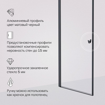 Душевая дверь в нишу AM.PM Sunny W87G-80-1P-BT 80 см