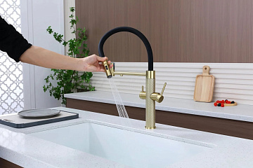 Смеситель для кухни Paulmark Nexus Diamond Nd613999-LG с гибким изливом, светлое золото