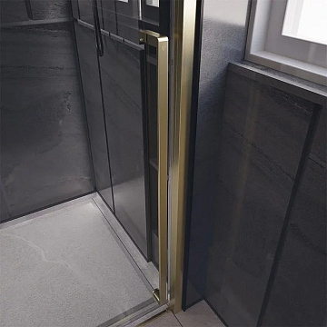 Дверь для душевого уголка Veconi Premium Trento PTD-30G 140 см, профиль брашированное золото, стекло