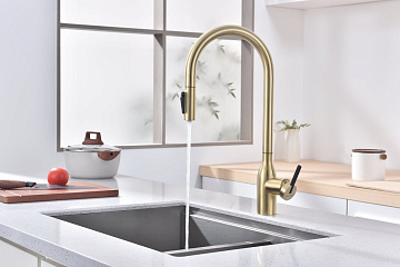 Смеситель для кухни Paulmark Universal Un213880-SBG светлое брашированное золото