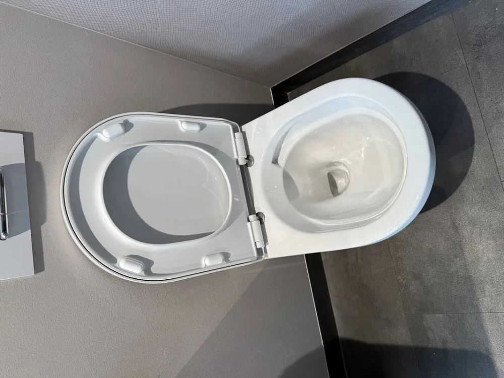 Унитаз подвесной Villeroy & Boch Architectura 4616СВ01 с сиденьем 8М70S101 Sancos — официальный сайт