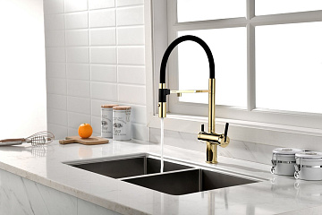 Смеситель для кухни Paulmark Gravity Gr213888-G, золото