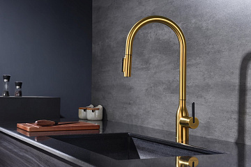 Смеситель для кухни Paulmark Universal Un213880-BG брашированное золото