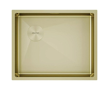 Мойка кухонная Paulmark Next-Skew 54-L UNI, PM885444-L-LG светлое золото