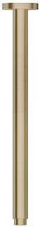Кронштейн для верхнего душа Newform X-Steel 316 29391X.59.098, брашированное светлое золото