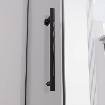 Душевая дверь в нишу Veconi Premium Alassio B 140x200, профиль матовый черный, стекло прозрачное