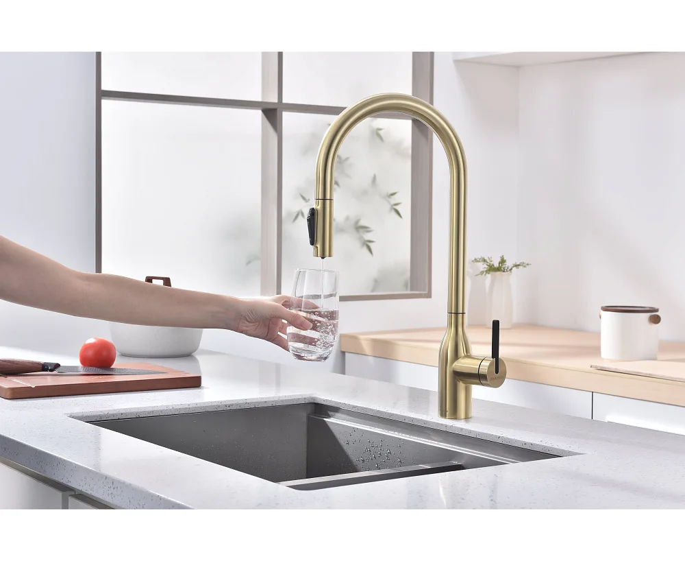 Смеситель для кухни Paulmark Universal Un213880-LG светлое золото Sancos — официальный сайт