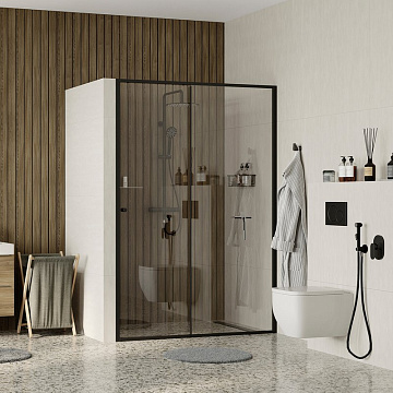 Душевая дверь в нишу Wasserkraft Dill 61S05 120 см, профиль матовый черный, стекло прозрачное