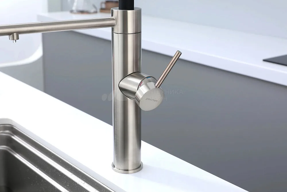 Смеситель для кухни Paulmark Ganymede Ga213199-BS с гибким изливом, брашированная сталь Sancos — официальный сайт