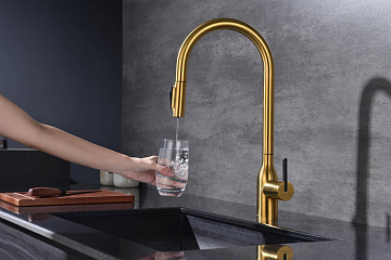 Смеситель для кухни Paulmark Universal Un213880-BG брашированное золото