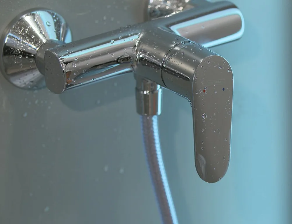 Смеситель для душа Hansgrohe Focus E2 31960000 Sancos — официальный сайт