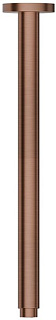 Кронштейн для верхнего душа Newform X-Steel 316 29391X.59.067, брашированная бронза