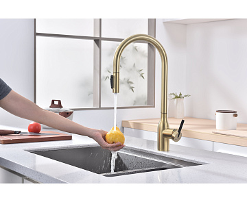 Смеситель для кухни Paulmark Universal Un213880-LG светлое золото