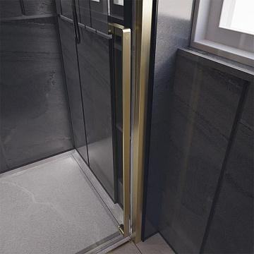 Дверь для душевого уголка Veconi Premium Trento PTD-30G 120 см, профиль брашированное золото, стекло