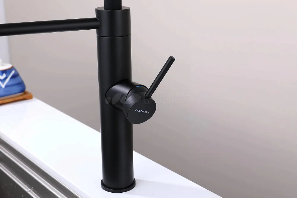 Смеситель для кухни Paulmark Ganymede Ga213199-AN с гибким изливом, антрацит Sancos — официальный сайт