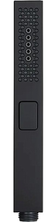 Душевая лейка Allen Brau Infinity 5.21A22-31 черная матовая